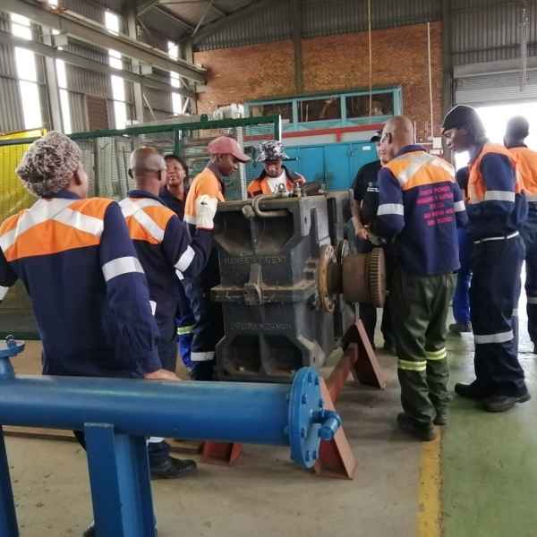 2019 DNK Training